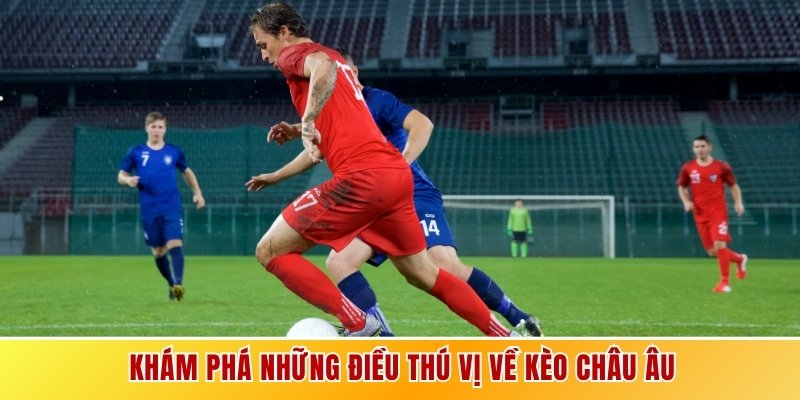 Khám phá những điều thú vị về kèo Châu Âu