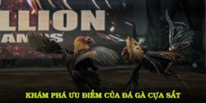 Đá Gà Cựa Sắt