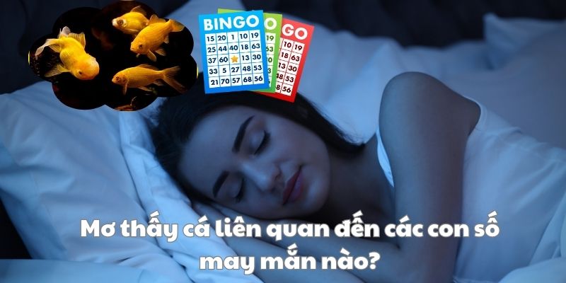 Những con số cụ thể liên quan mà thành viên nên nắm