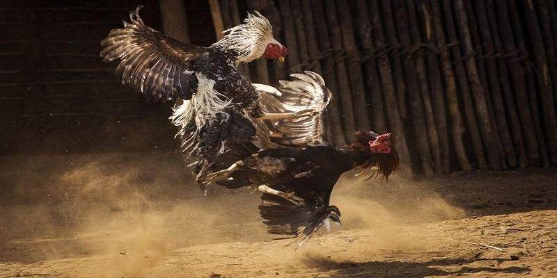 Sảnh game hội tụ hàng loạt ưu điểm vượt trội